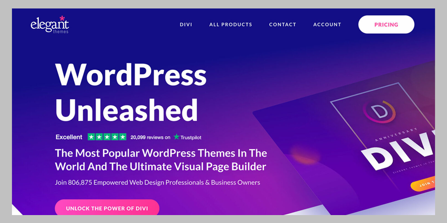 divi wordpress theme