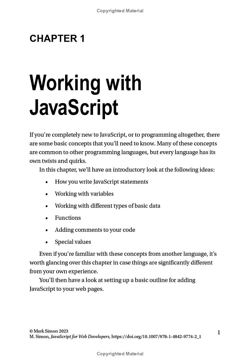 das buch JavaScript for Web Developers